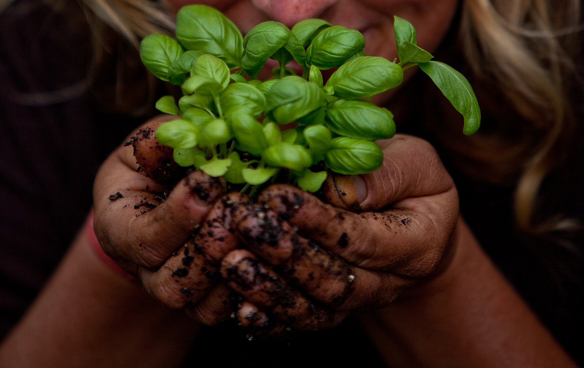 solscape's tweet image. Our 2015 Permaculture Course is coming up April 13-26! Join us! solscape.co.nz/permaculture-d… @PermacultureMag @permaculture