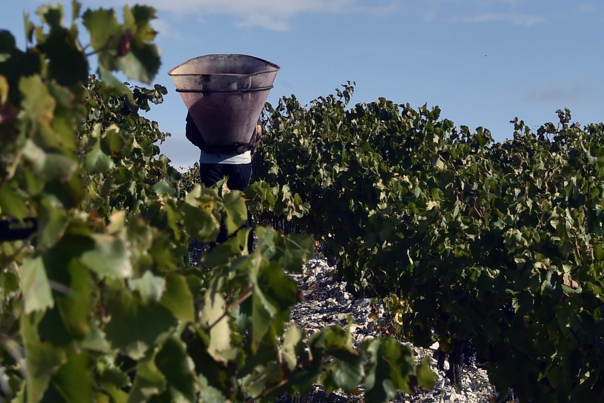RouteurNews's tweet image. Un #robotautonome qui suit les agriculteurs  routeurnews.com/c5ws #replay #récoltes #suivre