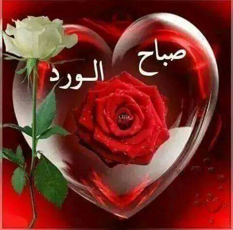BBadat's tweet photo. http://t.co/OEqLNYZZQB