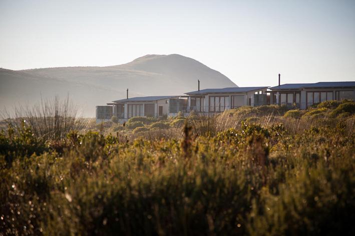 miss_luckypony's tweet image. I'm so excited! I have a 2-night all inclusive 5-Star luxury stay at @Grootbos to giveaway luckypony.co.za/giveaway-groot…