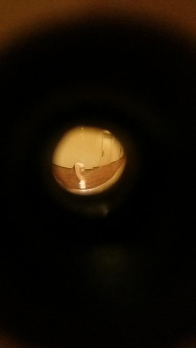 I was fooling around at the hotel... and they caught me in the peep hole 😂😂😂 http://t.co/Tyqnt1fsQy<a href="/tag/billsmafia"class="tags"><span>#billsmafia</span></a>