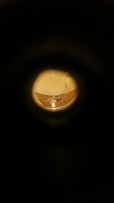 I was fooling around at the hotel... and they caught me in the peep hole 😂😂😂 http://t.co/Tyqnt1fsQy<a href="/tag/billsmafia"class="tags"><span>#billsmafia</span></a>