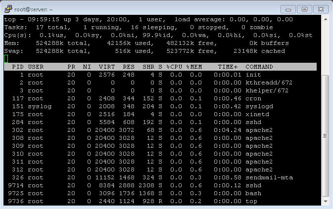 monitoring Kinerja VPS