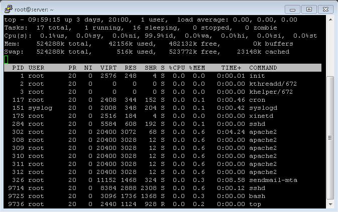 monitoring Kinerja VPS 