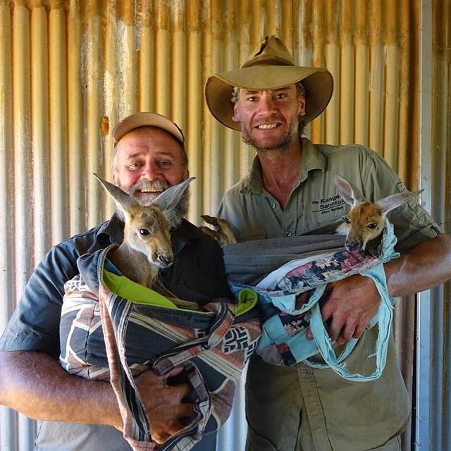 AusOutback_FR's tweet photo. Bonjour à tous ! Lors de votre prochain voyage, venez nous voir : https://t.co/9fWlLNyD6G #Australie http://t.co/yvufG5QsID