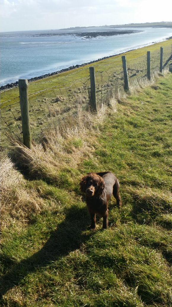 Erwin Staal tweet media