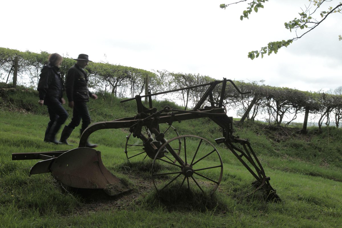 CaeauCymru's tweet photo. Tonight @BrychanLlyr and Rhian Parry are looking at field names in Llanllwni. Tune in to @S4C at 8.25pm #caeau http://t.co/e2qeqEVH8C