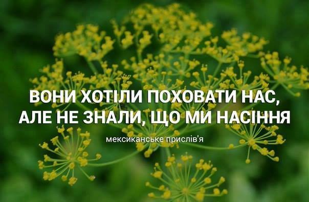 Сутки прошли без потерь. Ранено четверо воинов, - спикер АТО - Цензор.НЕТ 245