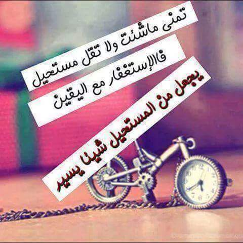 Essam Gamal (@essam_gamal97) on Twitter photo 