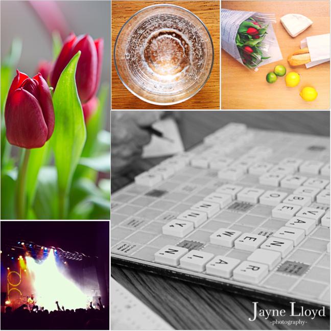 Embedded image permalink