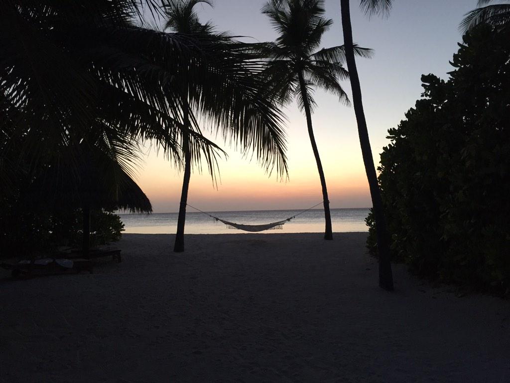 nick_harrold85's tweet photo. Not a bad way to end the day! http://t.co/L97sArh2hw