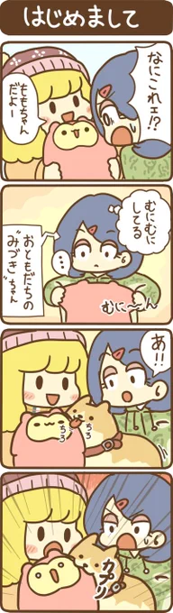 うちのももちゃん 23  #うちのももちゃん 