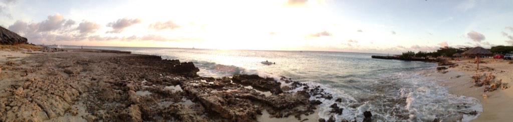 temmel's tweet image. 