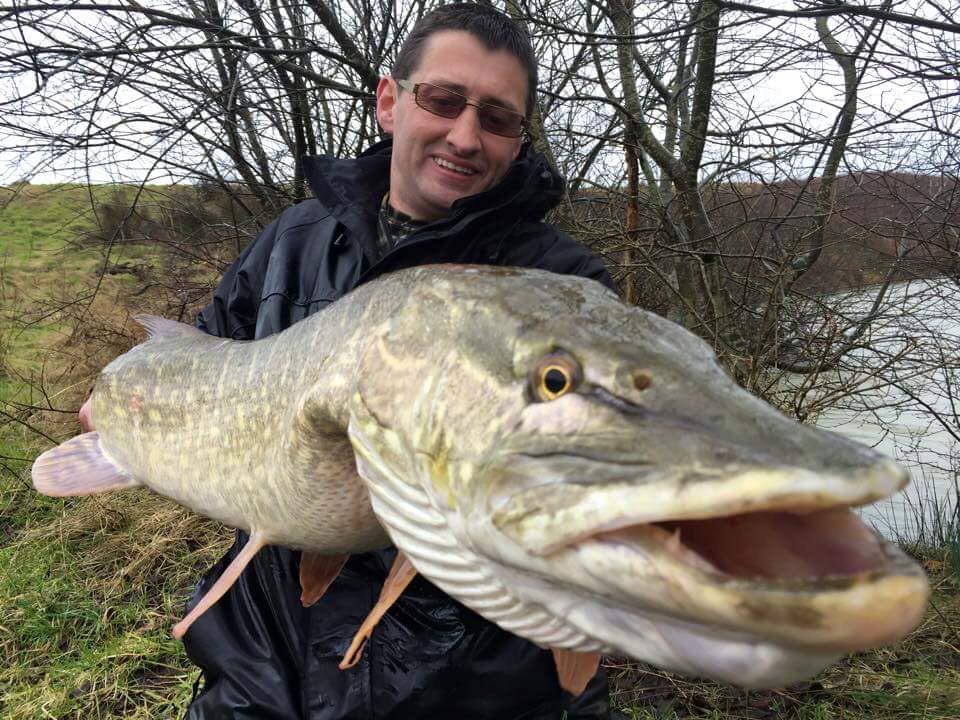 LureNuts's tweet photo. Well member nathan edgell's been at it again! Another lure caught monster! #lurenuts http://t.co/W63aF6VDGY