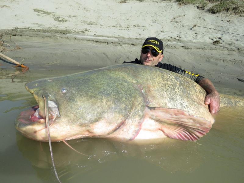 Incroyable, il pêche un poisson géant de 127 kg