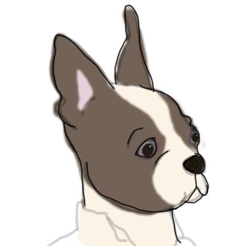 BoyleAnimation's tweet image. The Oscar winning animated short was about a Boston Terrier - but it wasn’t this one: vimeo.com/82133898