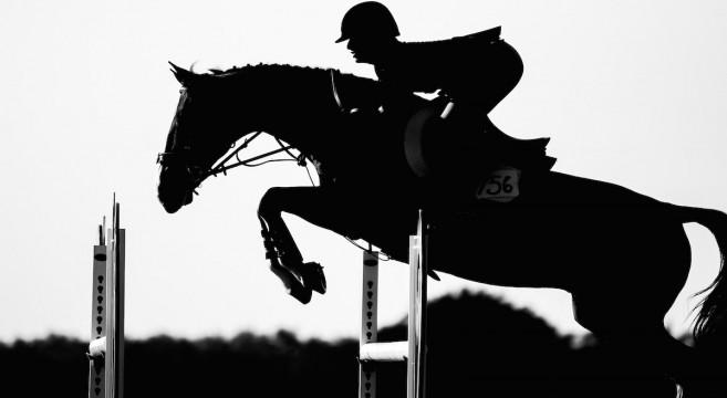 Horse_Style_Mag's tweet photo. George D'Ambrosio: Imagining a New Week Seven" @@TheRidgeFarm @PhelpsSports http://t.co/PPuFTeTPK1 http://t.co/gbLMNy4MhC