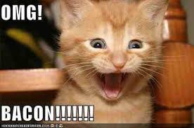 leafman2000's tweet image. 