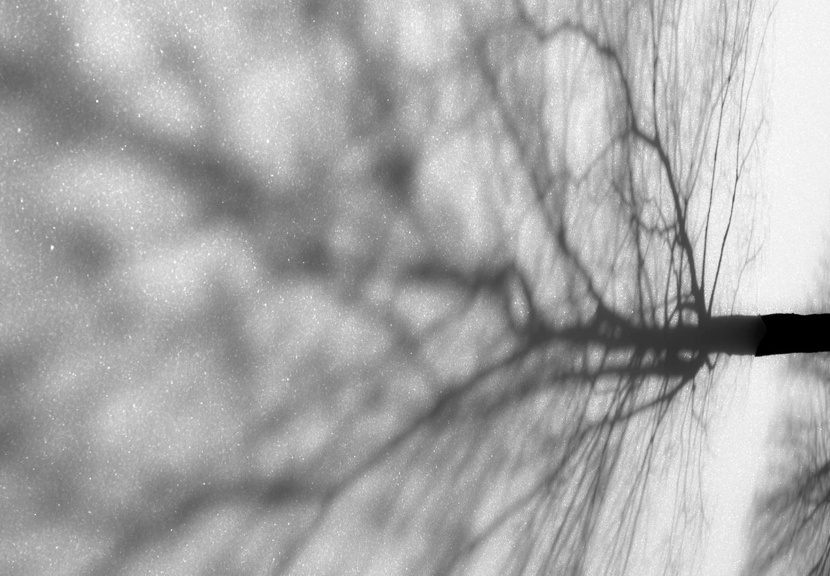 SeanPartin's tweet image. Snow Deep.