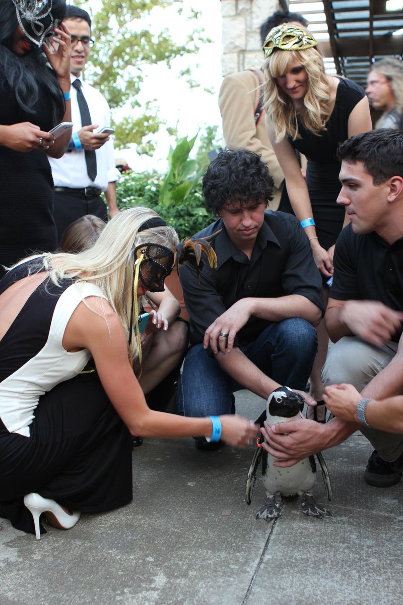 ArtsForWellness's tweet photo. The Arts For Wellness Signature Event was so awesome to have live animals at it!  @CbusArtsBall http://t.co/H241wz0X1M