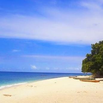 #ZOOMALOR tweet media