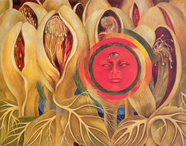 Exhibirán obra de #FridaKahlo en Nueva York y su relación con la naturaleza mvsrd.io/CXEenJ