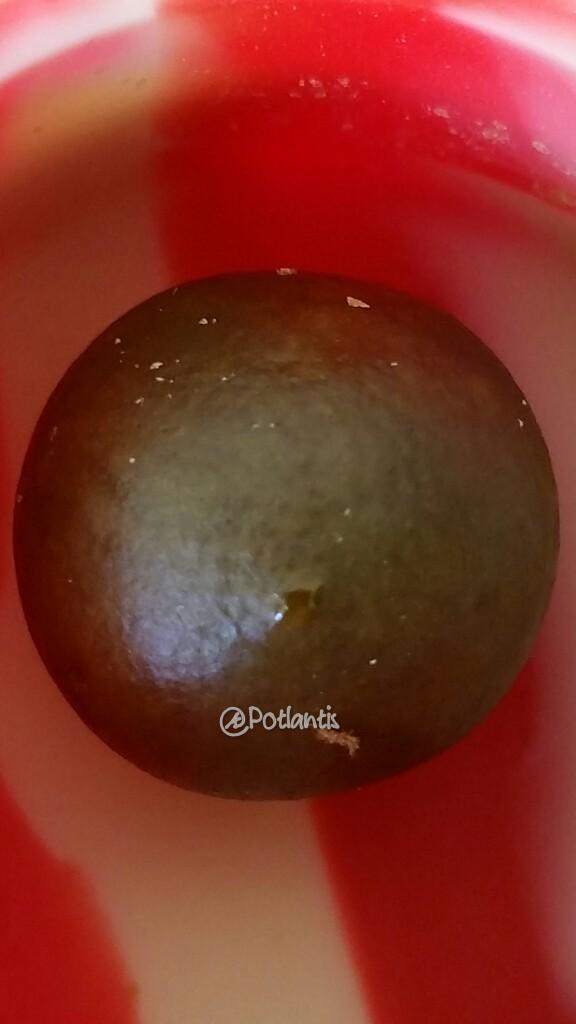DaJooosh's tweet photo. Dabs of Chemdawg! #StayHiGHer http://t.co/s5sSk24VOz