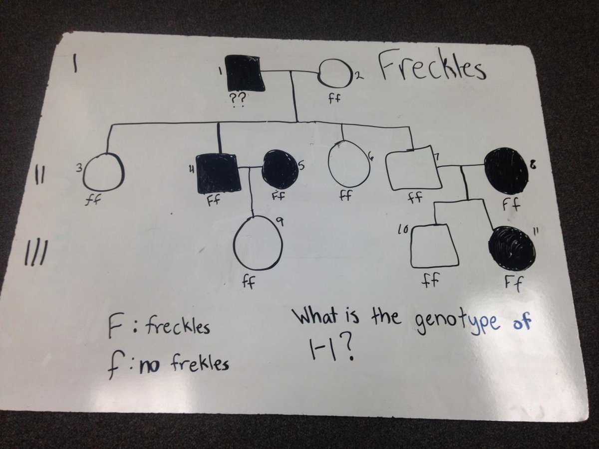 fshserinc's tweet photo. #pedigreepuzzle #schwarting just Erin on this one http://t.co/gyGHop5yZA
