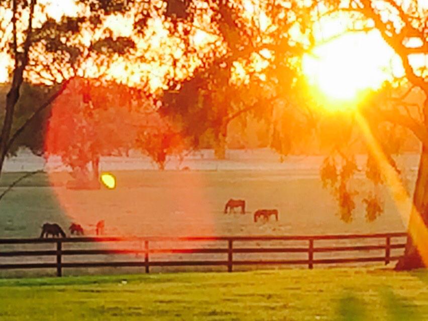 ThreeBridges1's tweet photo. Glorious morning #offtothesales http://t.co/8NF0DjDycS
