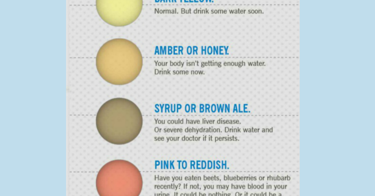 GOOD on X: What color should your pee be? A handy guide.