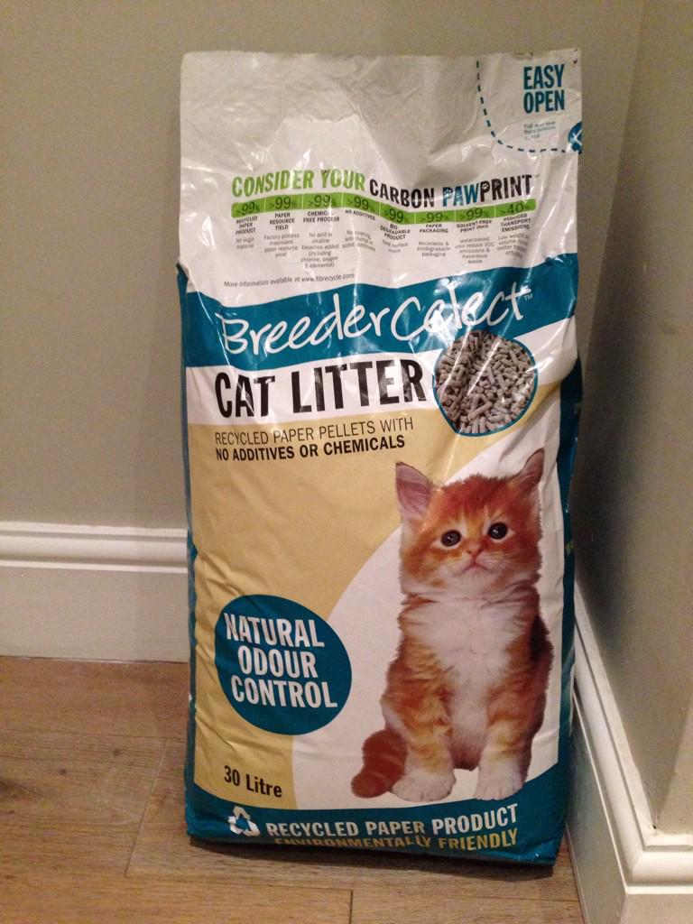 beaprok's tweet photo. @stephanieprent the best kind! (And ethical too, obvs) http://t.co/8YDC6t5jQY