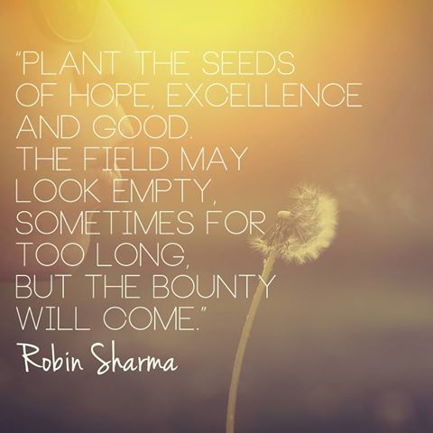 quotyco's tweet photo. Plant the seeds of hope, excellence and good. The field may look empty, sometimes for too long... http://t.co/lqIUvDqXAl