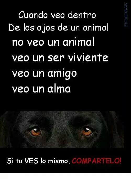 ComisariaMocha's tweet photo. @chiohl @nydiacervera @lysssluna @MariaAmpudiaG_ @la_woodra @Negra_start @EsEstra @Froggieland @panaclo :) http://t.co/0htUZ25eEq