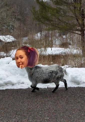 @eroticwetatomic @SluttyBoh @irisenchanted I saw a goat today. Shared a pic of it with my girls, then<a class="tags" target="_blank" title="On Twitter" href="/?out=eyJ0eXAiOiJKV1QiLCJhbGciOiJIUzUxMiJ9.eyJpYXQiOjE3MjU2MTUwNDIsImlzcyI6InR3cG9ybnN0YXJzLmNvbSIsIm5iZiI6MTcyNTYxNTA0MiwiZXhwIjoxNzU3MTUxMDQyLCJyZWRpcmVjdF91cmwiOiJodHRwczovL3R3aXR0ZXIuY29tL2Vyb3RpY3dldGF0b21pYyJ9.d84nAbEBs8lPPYl6IhD8-dMMYgwsRch1ms-rI1MHo1hDYFCCHOLHC6Jj2GZPVhAzY-KtbNIneKJN9AXdJy3bEg">@eroticwetatomic</a><a class="tags" target="_blank" title="On Twitter" href="/?out=eyJ0eXAiOiJKV1QiLCJhbGciOiJIUzUxMiJ9.eyJpYXQiOjE3MjU2MTUwNDIsImlzcyI6InR3cG9ybnN0YXJzLmNvbSIsIm5iZiI6MTcyNTYxNTA0MiwiZXhwIjoxNzU3MTUxMDQyLCJyZWRpcmVjdF91cmwiOiJodHRwczovL3R3aXR0ZXIuY29tL1NsdXR0eUJvaCJ9.eLJv-JD07MG2tqWfo9xYJLmnSINVVGw6Oqwkodzhq-rrqeJo9x73xOsfResja8bz72IG0XYTiBpMcez2MnGe6w">@SluttyBoh</a><a class="tags" target="_blank" title="On Twitter" href="/?out=eyJ0eXAiOiJKV1QiLCJhbGciOiJIUzUxMiJ9.eyJpYXQiOjE3MjU2MTUwNDIsImlzcyI6InR3cG9ybnN0YXJzLmNvbSIsIm5iZiI6MTcyNTYxNTA0MiwiZXhwIjoxNzU3MTUxMDQyLCJyZWRpcmVjdF91cmwiOiJodHRwczovL3R3aXR0ZXIuY29tL2lyaXNlbmNoYW50ZWQifQ.QngM-Ekar_j2irJ_AyiA09aj4ZXCqy_3WO1R2fOGTHqsGO3OI_gogZi7joKrAWWvPF_ZF3xKCEDCAVfpRCIPiA">@irisenchanted</a><a href="/tag/bdsm"class="tags"><span>#bdsm</span></a><a href="/tag/femmedomme"class="tags"><span>#femmedomme</span></a><a href="/tag/dominantsubmissive"class="tags"><span>#dominantsubmissive</span></a>