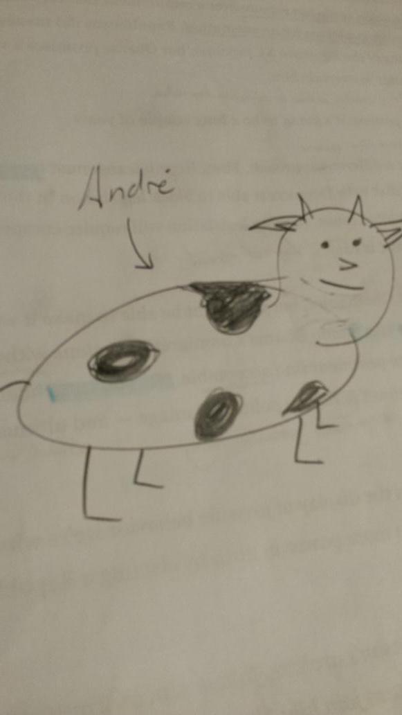 steiner_aidan's tweet photo. @andregreenie http://t.co/0fRi0UgUax