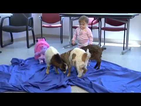 IntDesignLiving's tweet image. A commercial for Dallas Dodge, showing kids and goats vid.staged.com/SAFn #customliving #livingdesigns