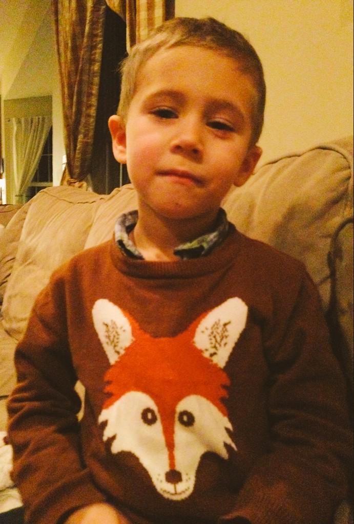 JessWill919's tweet image. #foxsweater #fox #faux @amandaellen0404