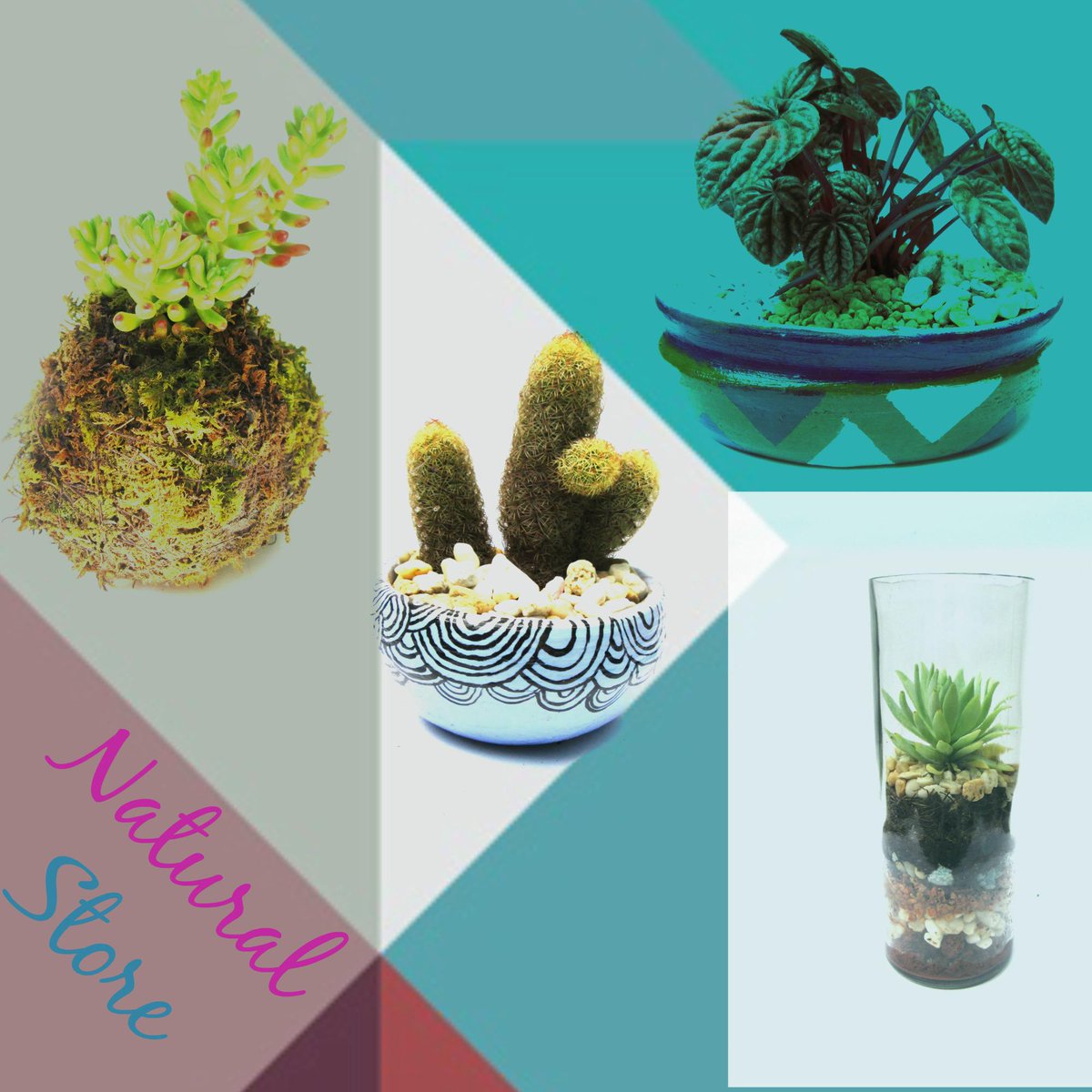 yosoynaturaal's tweet image. #YoConfieso que me encantan las plantas de @YoSoyNaturaal 
facebook.com/natural.artest…