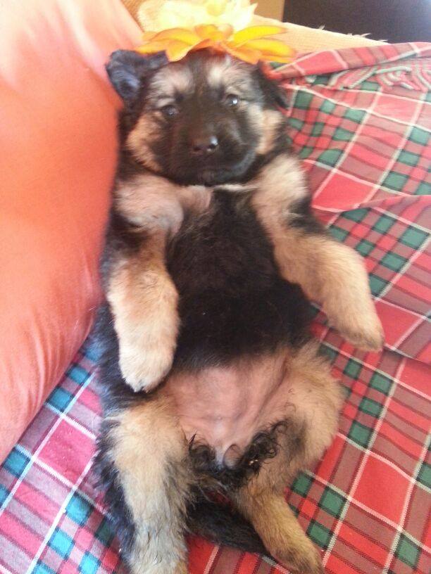 Isa8588's tweet photo. http://t.co/GAiQ0rl2Jf