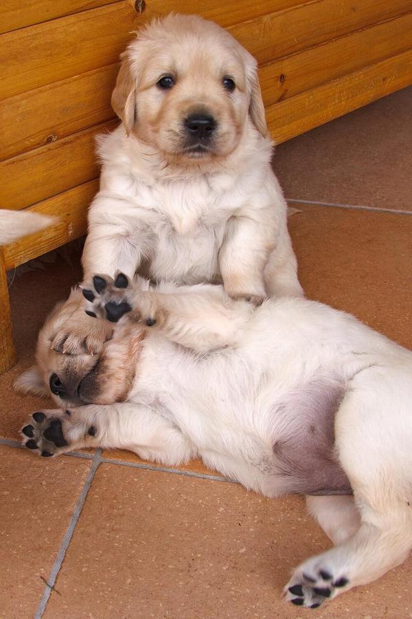 When your best friend is acting out