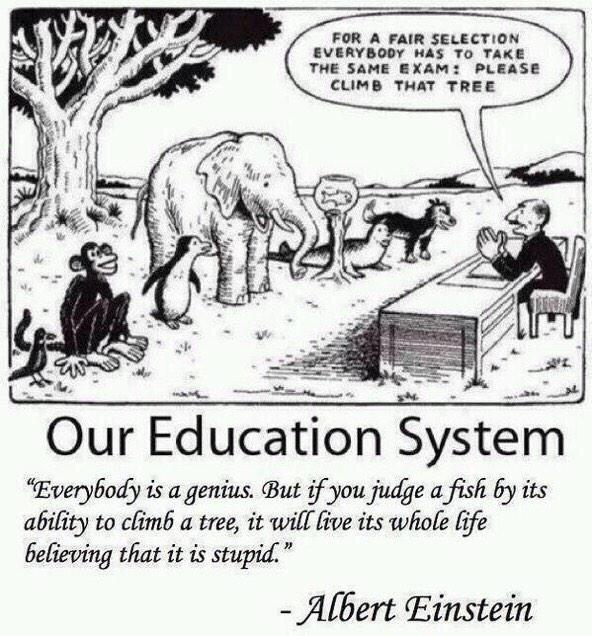 xschelling's tweet photo. #knowledge #education #standards #EvaluationSystem http://t.co/7NjBBB0HDn