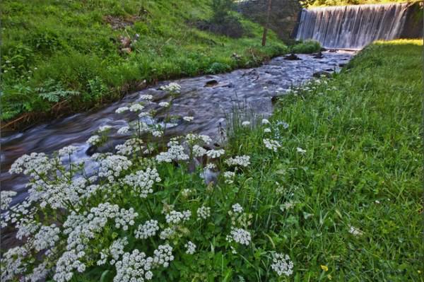 i_cirkovic's tweet image. Jesmo li izvukli pouku iz poplava, vodimo li sada više računa o vodi oko nas? bit.ly/1Fn24os