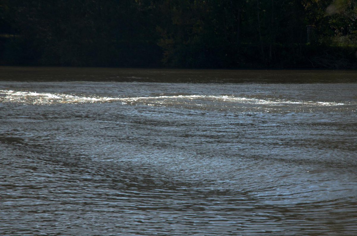 h_verdier's tweet photo. #ouphopo #Valvins #Mallarmé
sous l’empire du cygne coule le fleuve gris
@aucoat @dhasselmann @noel_talipo @cgenin http://t.co/KQ455MV3aK