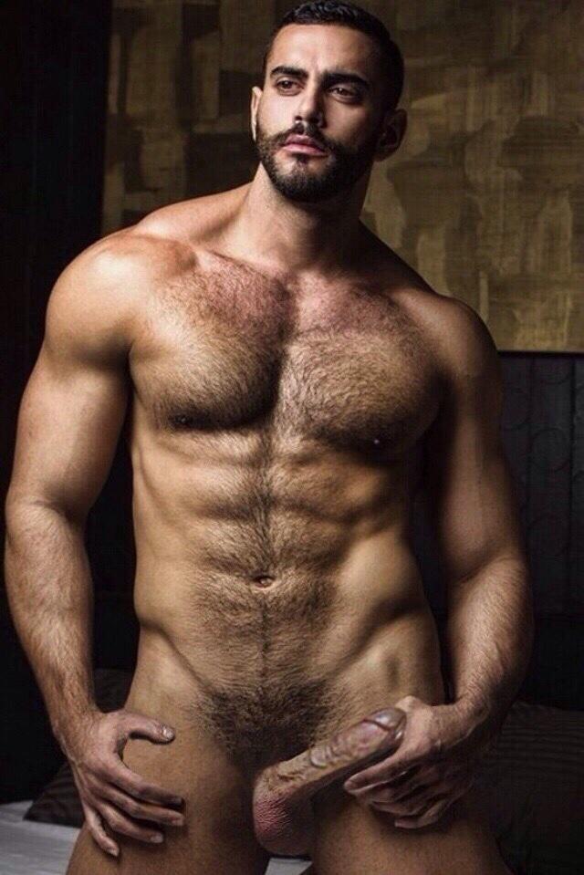bearmuscle1's tweet photo. http://t.co/HCg0BoWGP9