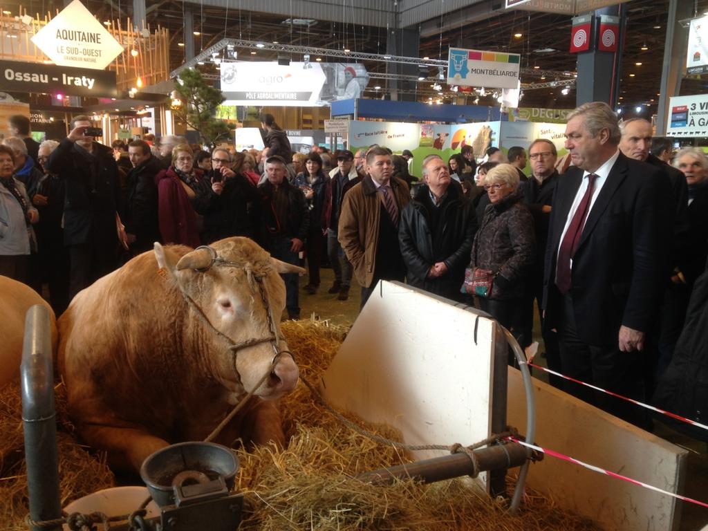 Forte émotion devant Gaulois, le taureau d'Arnaud. Tu nous manques #SIA2015