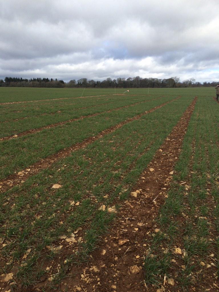 Michael Jarmuz tweet media