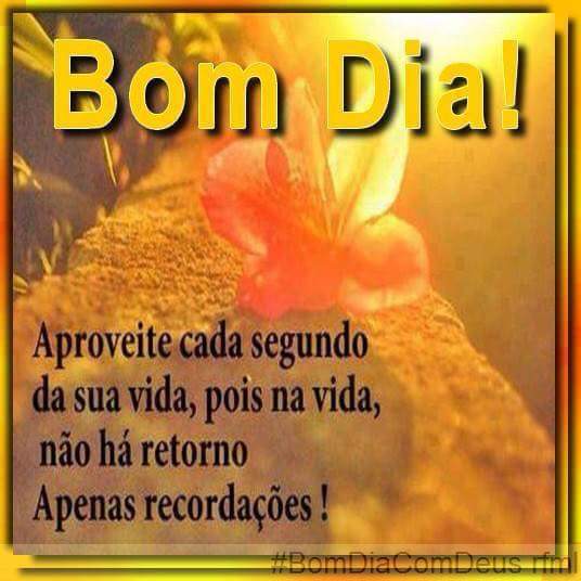 Flavia Gonçalves  (@2015flavinha) on Twitter photo 