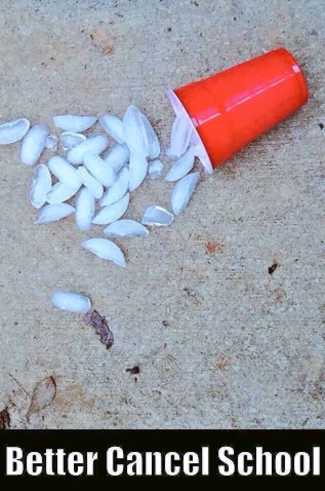 chrismclernon's tweet photo. No school. It's raining. It's cold, Bo. #sc #chs #chsnews #notquitewinter #giggling #boredteenagers #nosnoweither http://t.co/wUlSsfUpPj