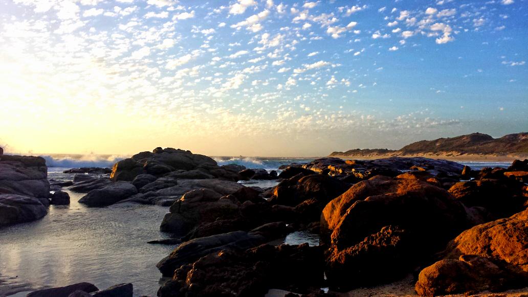 Ronnie T tweet media