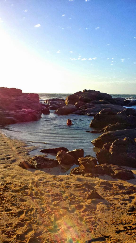 Ronnie T tweet media